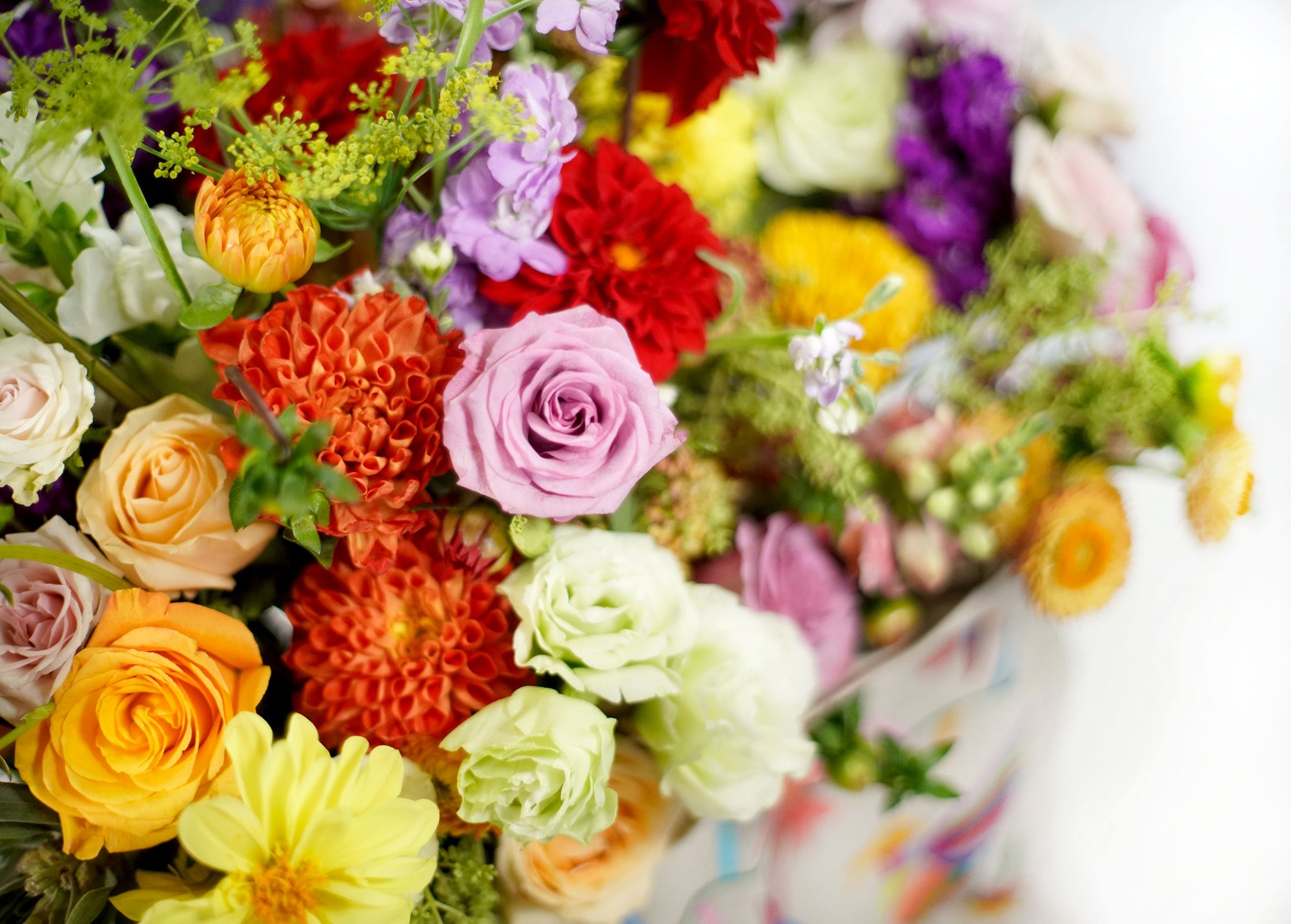 Alegría - REPLETO DE JÚBILO