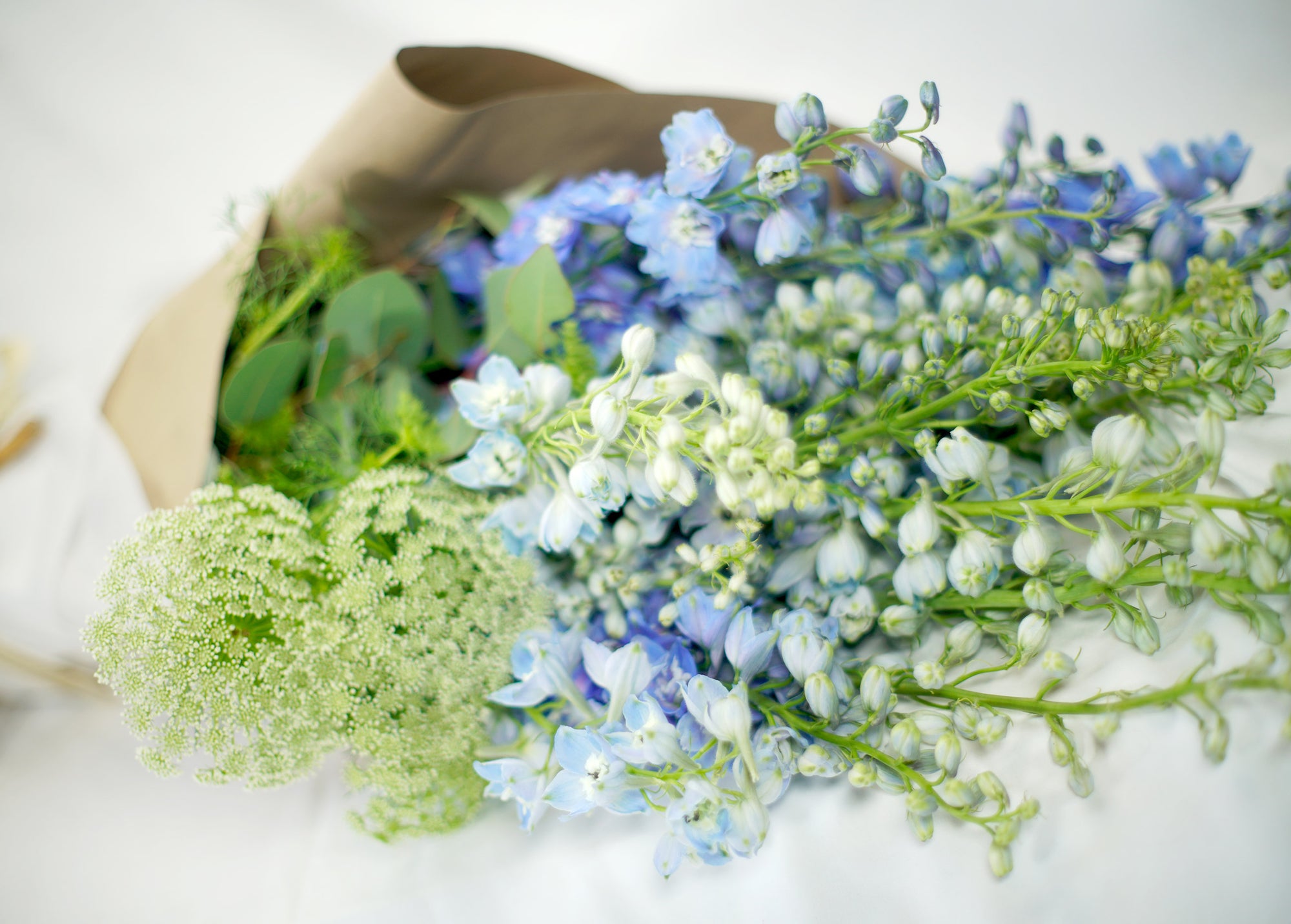 Azulito de Senegal - SERENIDAD DEL AGUA EN CALMA