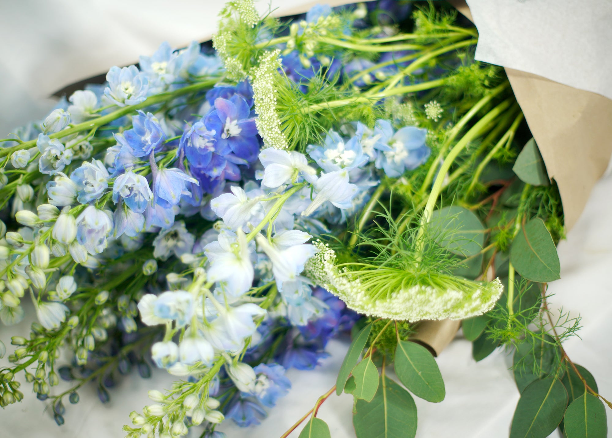 Azulito de Senegal - SERENIDAD DEL AGUA EN CALMA
