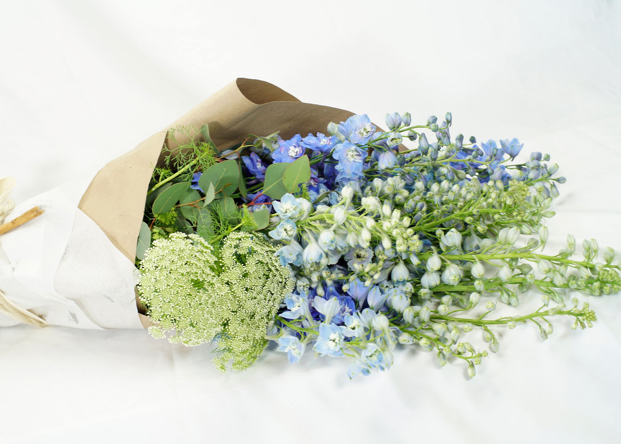 Azulito de Senegal - SERENIDAD DEL AGUA EN CALMA