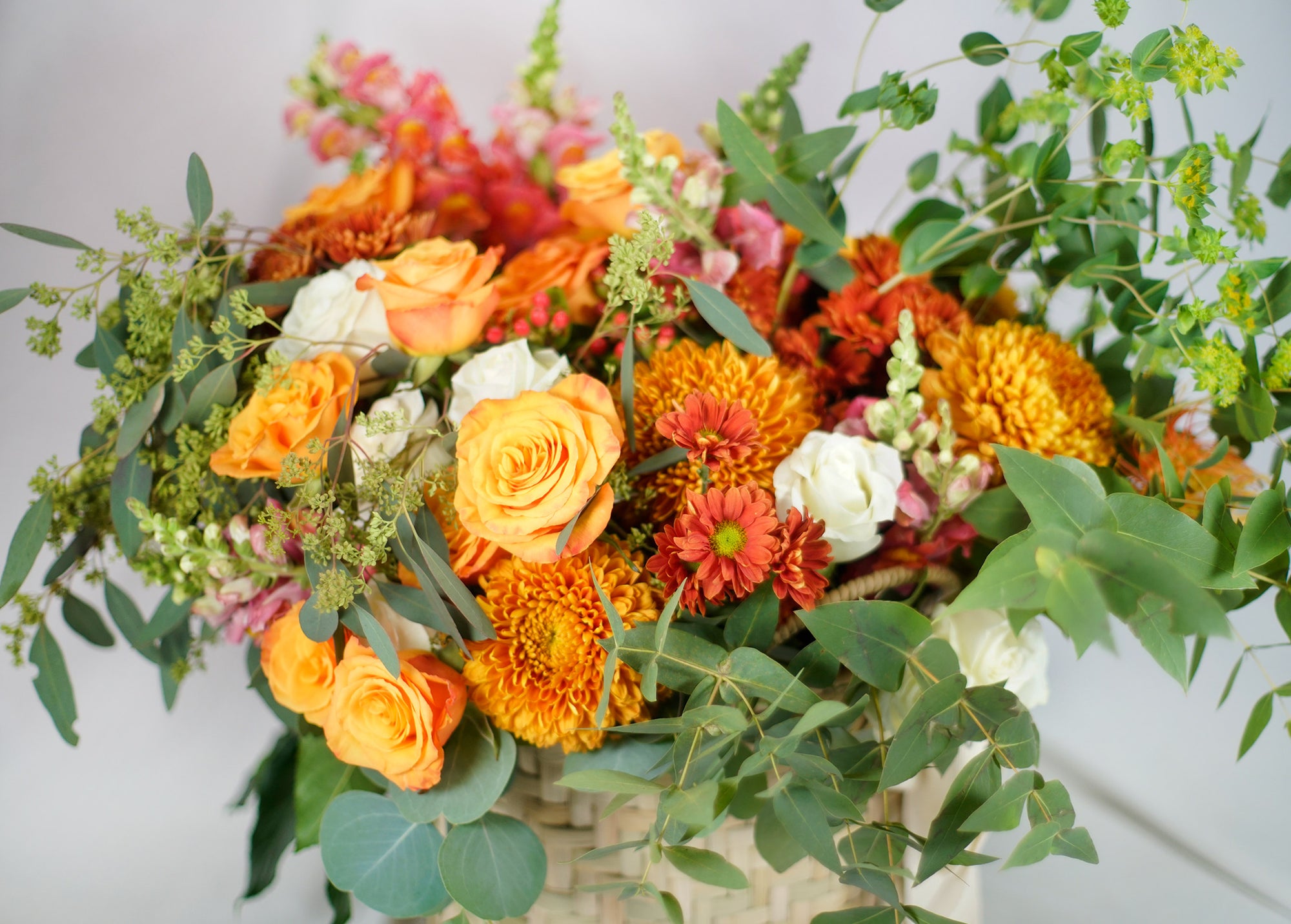 Éxito - COMPLETA PLENITUD