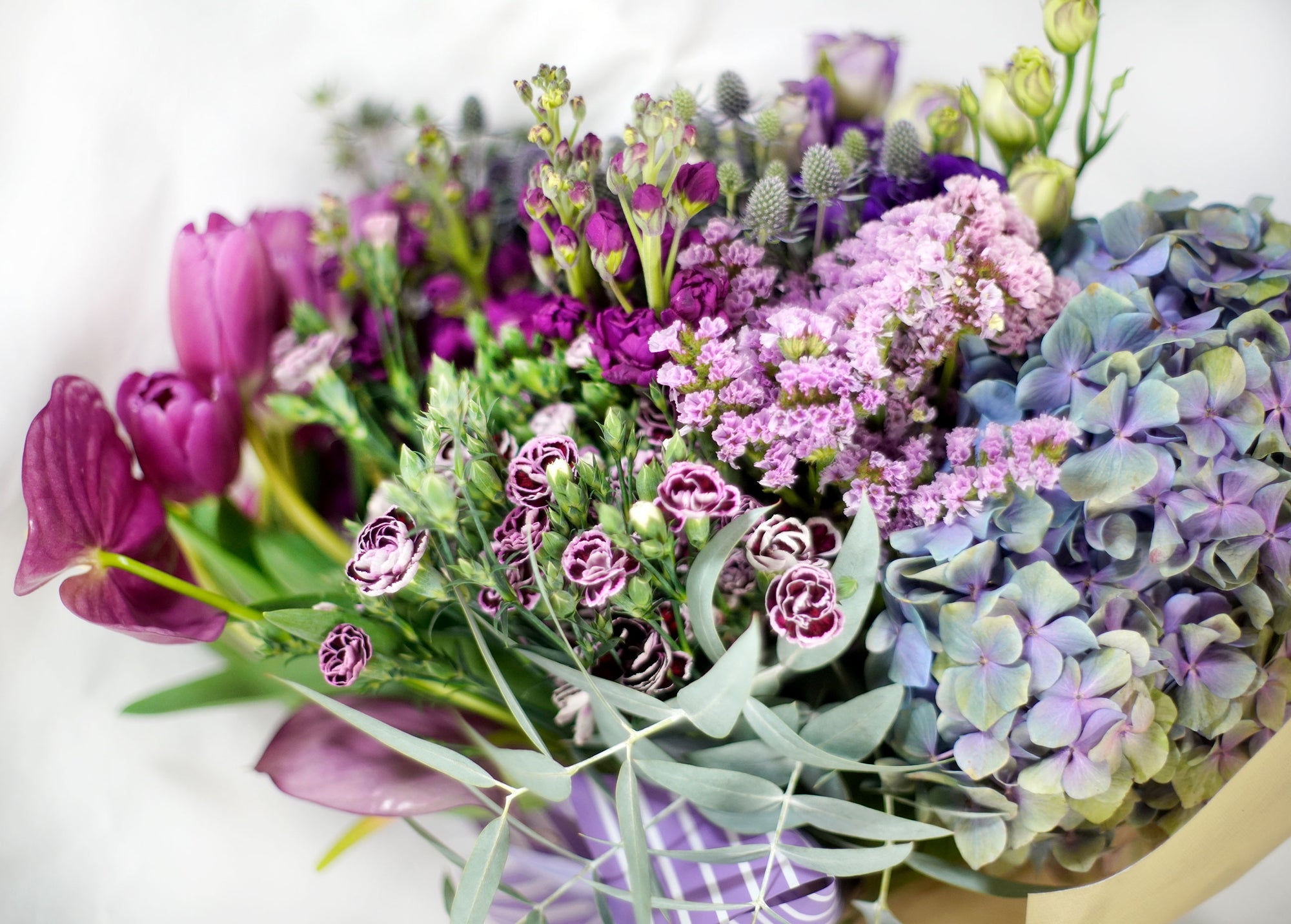 Busardo Lila - EL PUENTE CON LA INTUICIÓN