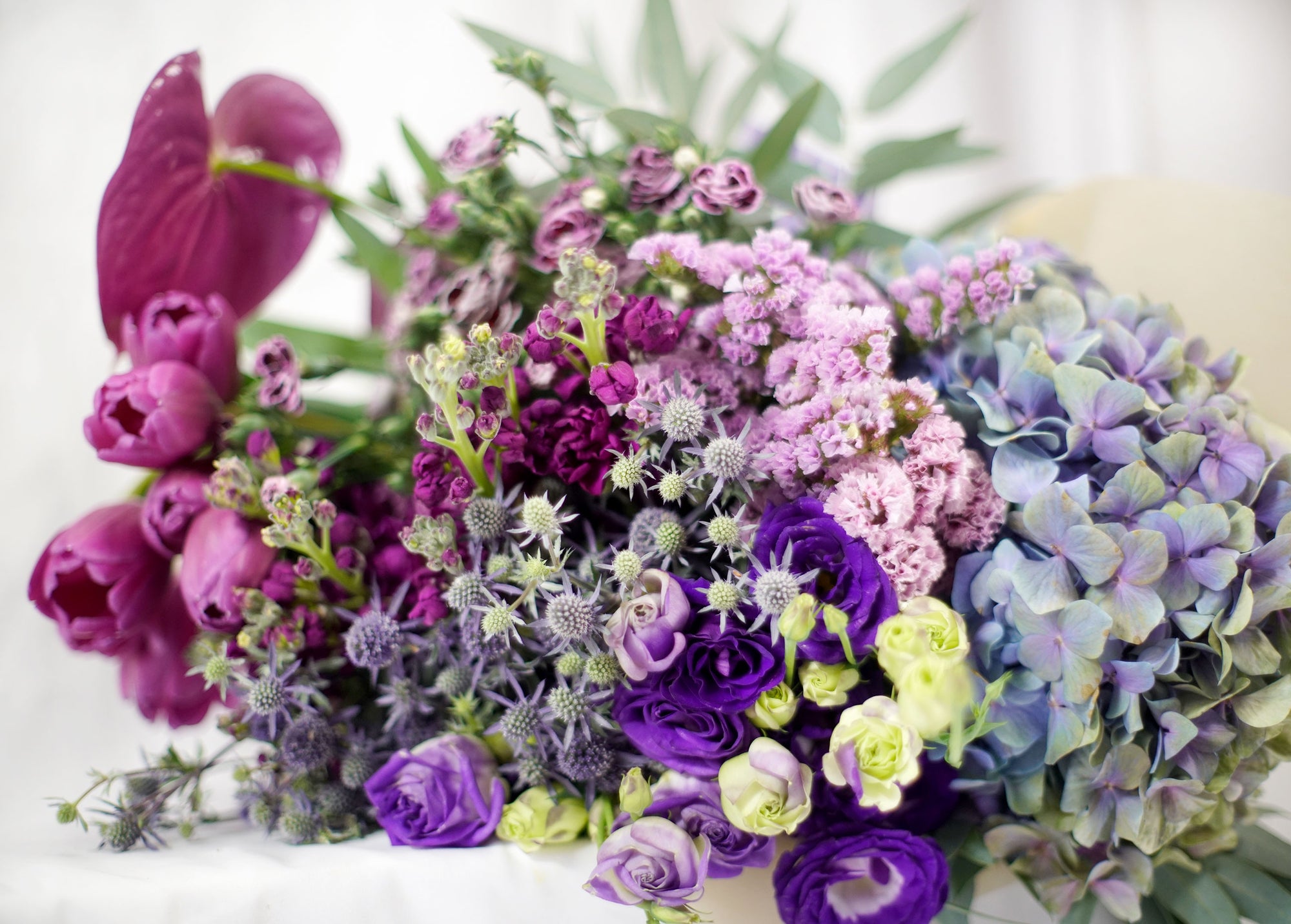 Busardo Lila - EL PUENTE CON LA INTUICIÓN