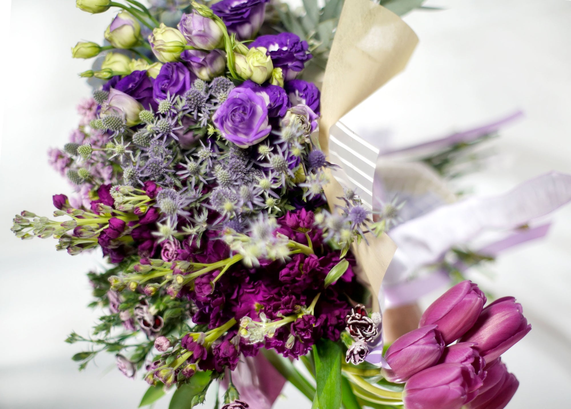 Busardo Lila - EL PUENTE CON LA INTUICIÓN