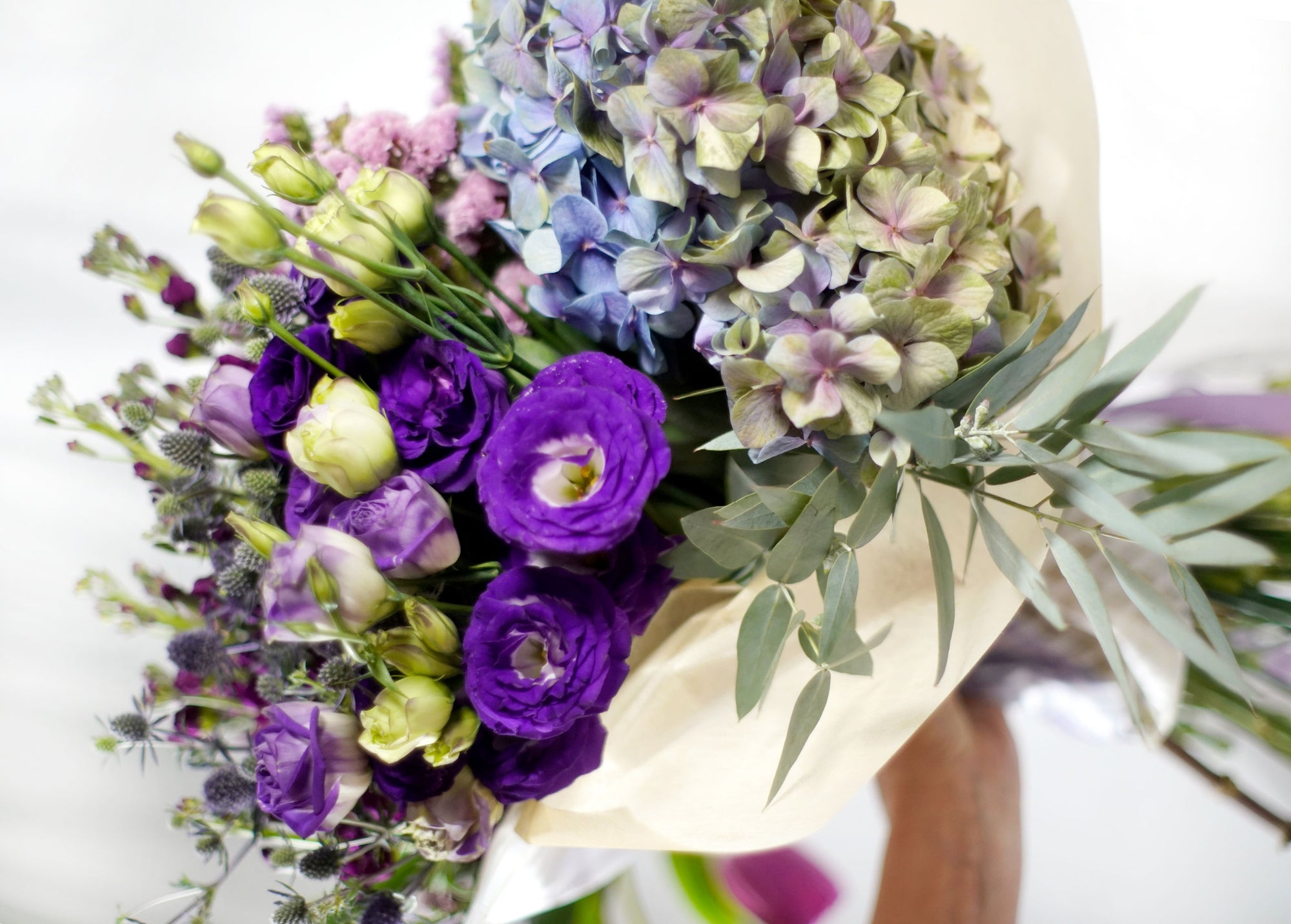 Busardo Lila - EL PUENTE CON LA INTUICIÓN