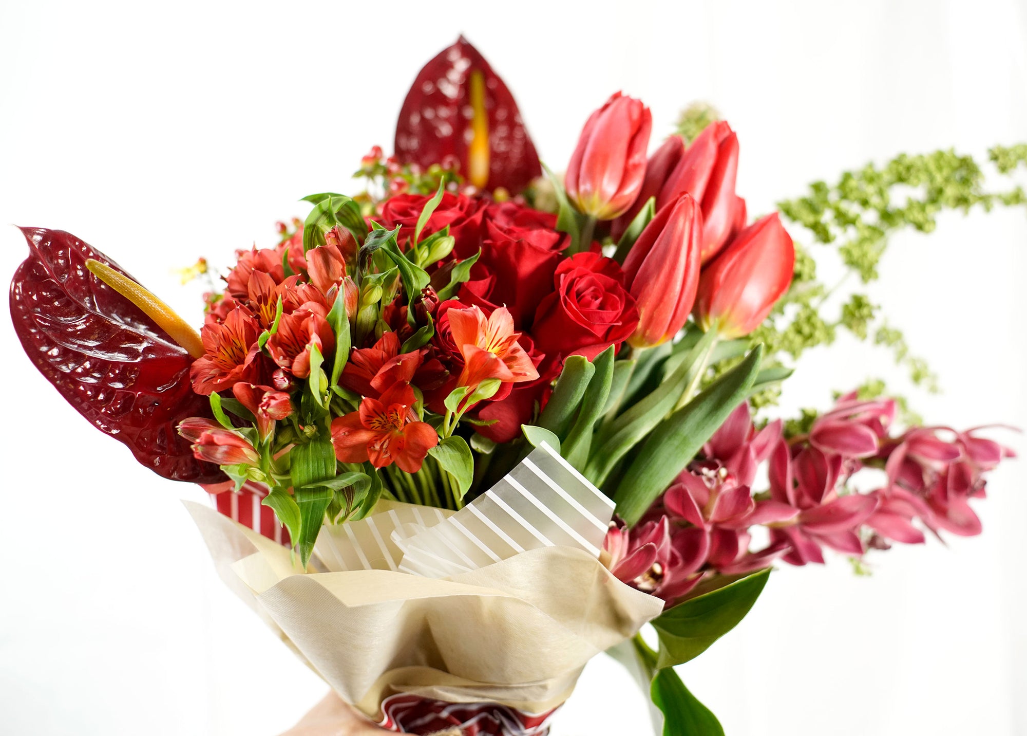 Petirojo - EXPLOSIÓN DE AMOR