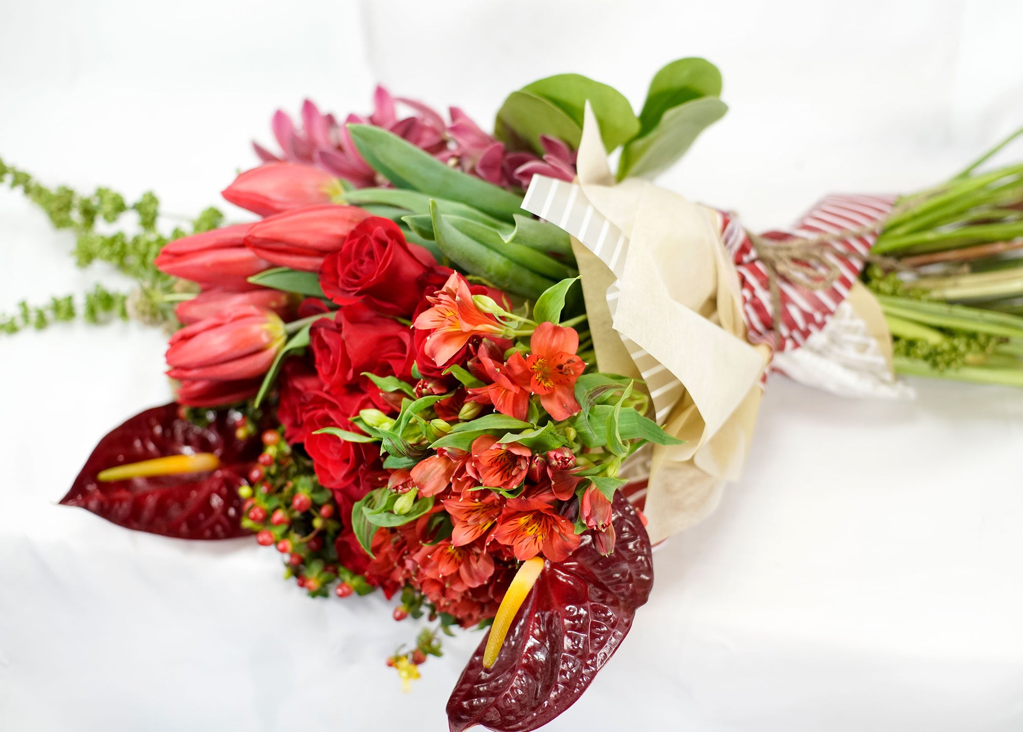 Petirojo - EXPLOSIÓN DE AMOR