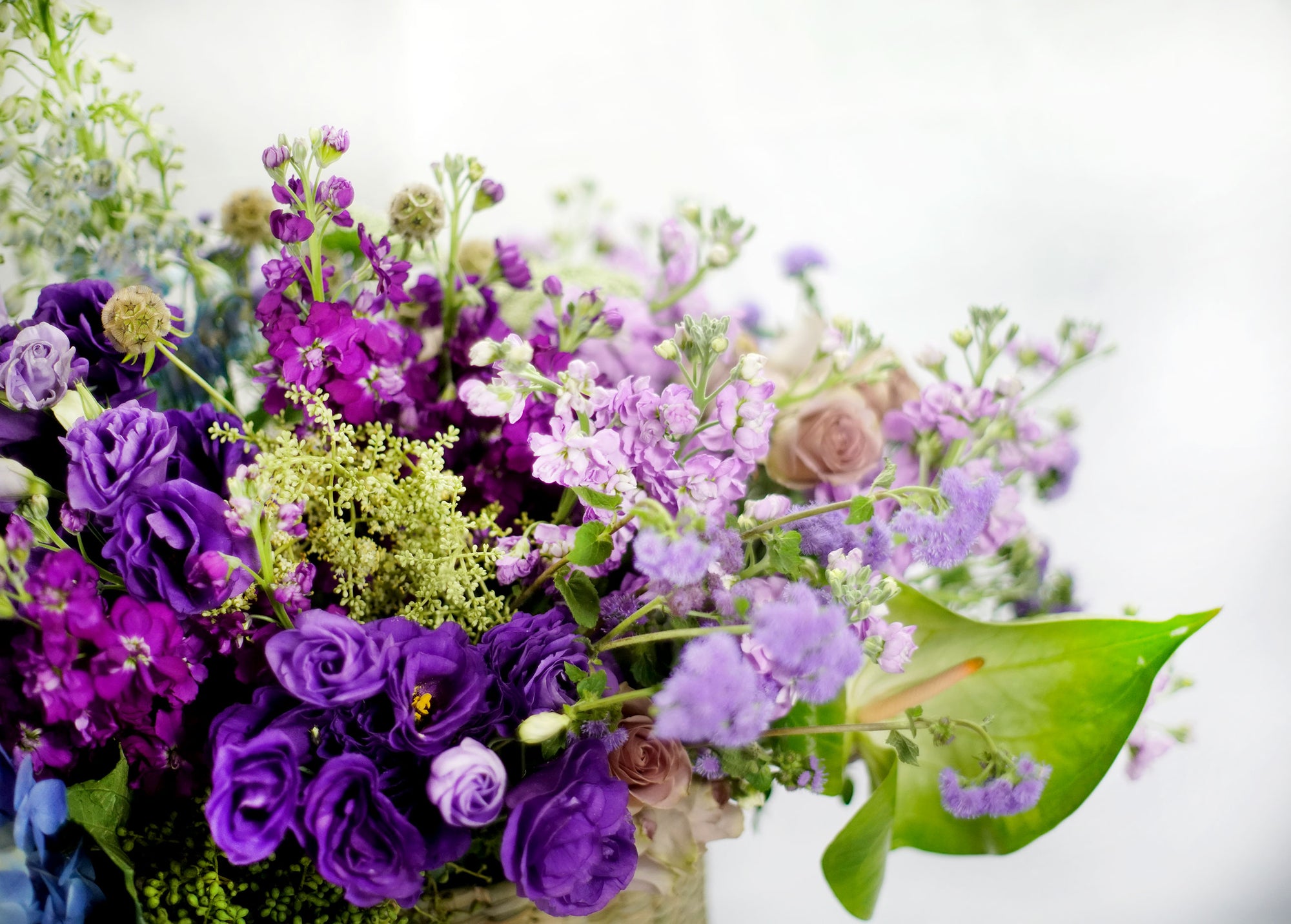 Serenidad - ENERGÍA CÓSMICA